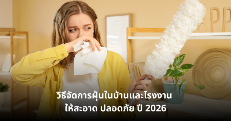 วิธีจัดการฝุ่นในบ้าน